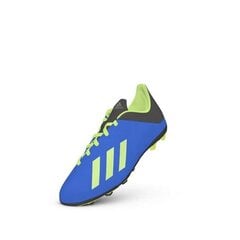 Мужские футбольные бутсы, Adidas X 18.4 FxG Jr DB2419 синие цена и информация | Футбольные бутсы | kaup24.ee