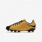 Jalgpallijalatsid Nike Hypervenom Phelon III FG JR 852595 801(43960) hind ja info | Jalgpallijalatsid | kaup24.ee