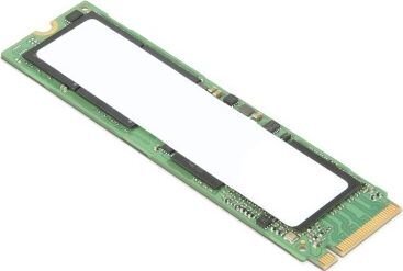Lenovo 4XB0W79580 hind ja info | Sisemised kõvakettad (HDD, SSD, Hybrid) | kaup24.ee