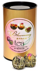 Blooming tea "Even Better" - Õitsev tee "Veel parem" 6 tk. hind ja info | Tee | kaup24.ee
