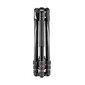 Statiiv Manfrotto Befree GT AL 4 MKBFRTA4GT-BH hind ja info | Statiivid | kaup24.ee