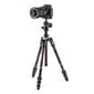 Statiiv Manfrotto Befree Advanced MKBFRTC4-BH hind ja info | Statiivid | kaup24.ee