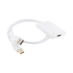 4World адаптер DisplayPort M + USB M > HDMI F, 0,5 м, Белый цена и информация | Адаптер Aten Video Splitter 2 port 450MHz | kaup24.ee