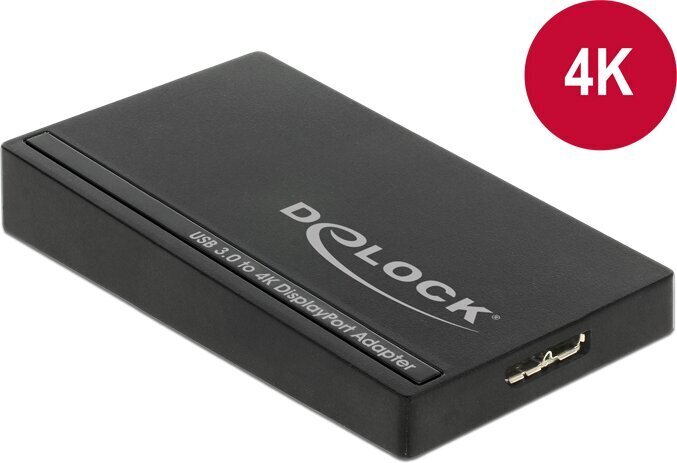 Delock 62581 цена и информация | USB jagajad, adapterid | kaup24.ee