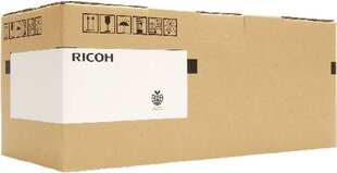 Ricoh 841742 цена и информация | Картриджи и тонеры | kaup24.ee