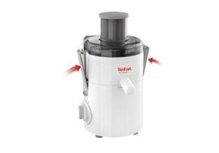 Tefal ZE370138 цена и информация | Соковыжималки | kaup24.ee