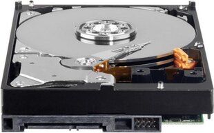 Western Digital WDBH2D0040HNC-ERSN цена и информация | Внутренние жёсткие диски (HDD, SSD, Hybrid) | kaup24.ee