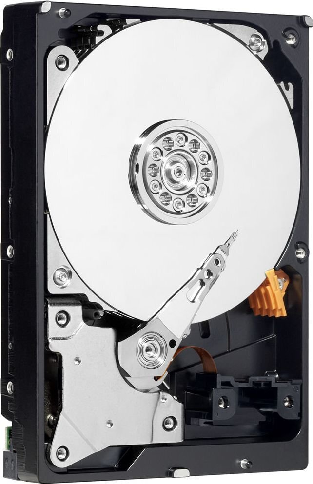 Western Digital WDBH2D0040HNC-ERSN цена и информация | Sisemised kõvakettad (HDD, SSD, Hybrid) | kaup24.ee