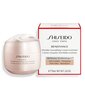 Noorendav näokreem Shiseido Wrinkle Smoothing Enriched 75 ml цена и информация | Näokreemid | kaup24.ee