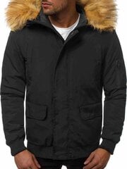 Зимняя мужская куртка-бомбер Lemor цена и информация | Мужские куртки | kaup24.ee