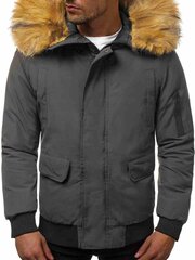 Зимняя мужская куртка-бомбер Lemor цена и информация | Мужские куртки | kaup24.ee
