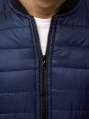 Куртка мужская Minti, синяя цена и информация | Мужские куртки | kaup24.ee