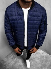 Куртка мужская Minti, синяя цена и информация | Мужские куртки | kaup24.ee