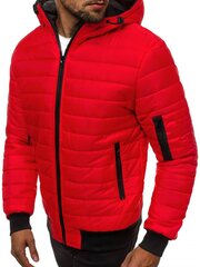 Мужская куртка Nosal, красная цена и информация | Мужские куртки | kaup24.ee