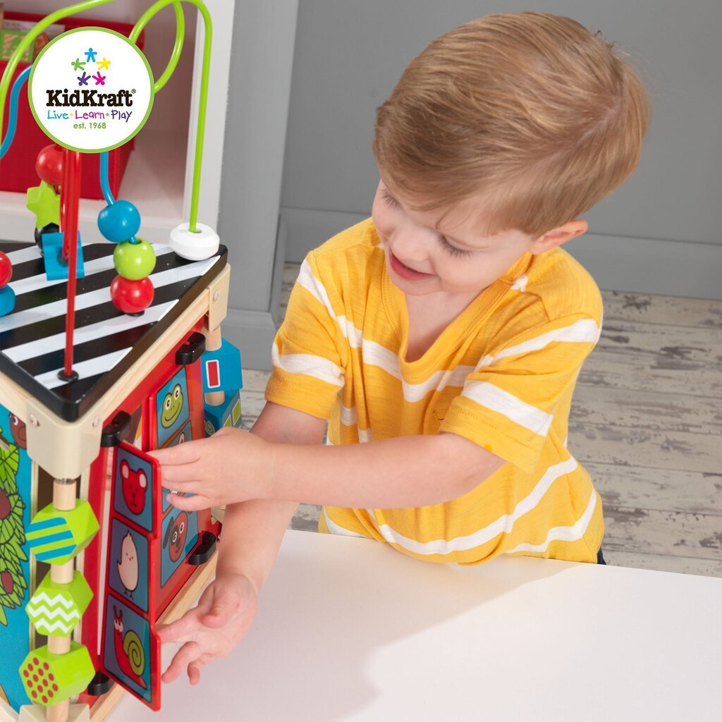 Arendav ergonoomiline mänguasi koos sorteerijaga Kidkraft 63274 hind ja info | Imikute mänguasjad | kaup24.ee