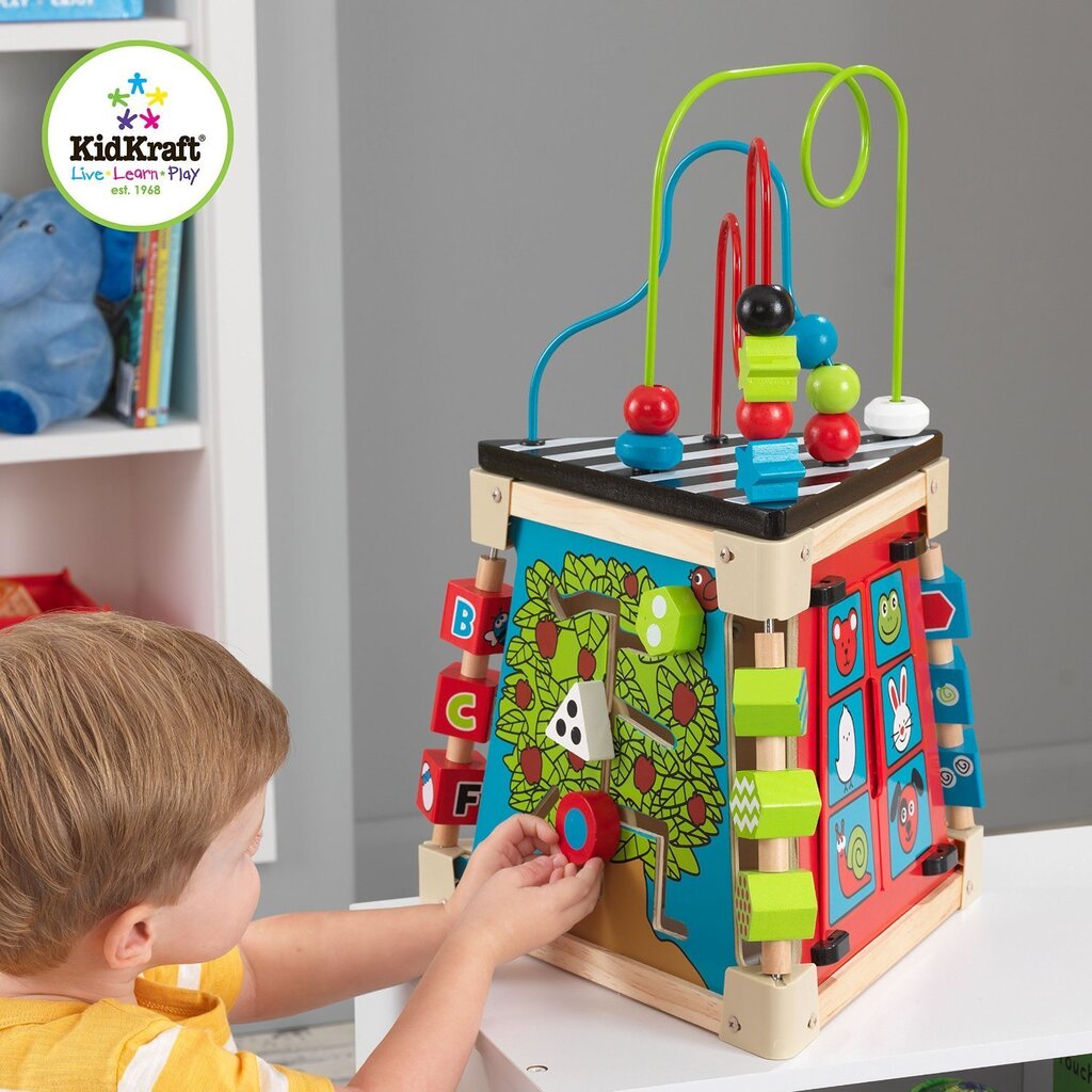 Arendav ergonoomiline mänguasi koos sorteerijaga Kidkraft 63274 hind ja info | Imikute mänguasjad | kaup24.ee