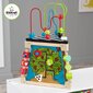 Arendav ergonoomiline mänguasi koos sorteerijaga Kidkraft 63274 цена и информация | Imikute mänguasjad | kaup24.ee