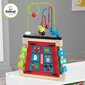 Arendav ergonoomiline mänguasi koos sorteerijaga Kidkraft 63274 цена и информация | Imikute mänguasjad | kaup24.ee