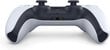 Sony DualSense PS5 Wireless Controller White hind ja info | Mängupuldid | kaup24.ee