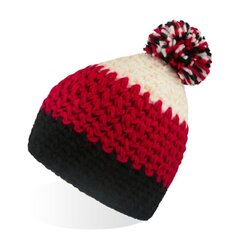 Kootud müts, must / burgund Everest hind ja info | Meeste sallid, mütsid ja kindad | kaup24.ee