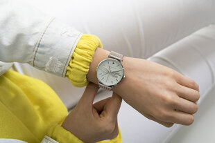 Женские часы Emily Westwood EBR-2718 цена и информация | Женские часы | kaup24.ee