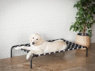 Hobbydog лежак Iron Black Paws XL, 100x55x20 см цена и информация | Лежаки, домики | kaup24.ee