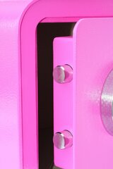 Сейф mySafe 430 pink Bi цена и информация | Сейфы | kaup24.ee