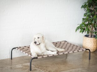 Hobbydog лежак Iron Beige Paws L, 80x42x15 см цена и информация | Лежаки, домики | kaup24.ee