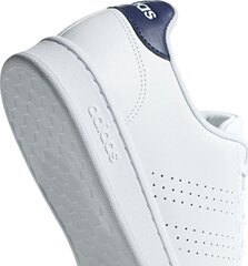 Кроссовки для мужчин Adidas Advantage M F36423, 55881, белые цена и информация | Кроссовки для мужчин | kaup24.ee