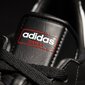 Jalgpallijalatsid Adidas Samba IN M 019000, 43942 hind ja info | Spordi- ja vabaajajalatsid meestele | kaup24.ee