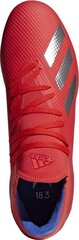 Meeste jalgpallijalatsid Adidas X 18.3 FG M BB9367, punased hind ja info | Jalgpallijalatsid | kaup24.ee