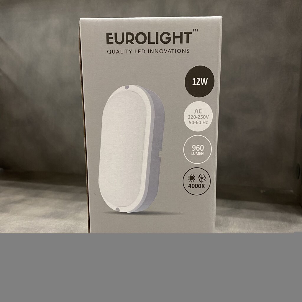 LED-valgusti Euroligtht Riga 12W / 4000K Ovaalne hind ja info | Laelambid | kaup24.ee