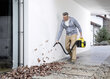 Karcher 1.198-301.0 hind ja info | Tolmuimejad | kaup24.ee