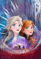 Головоломка Clementoni Play For Future Холодное сердце 2 (Frozen 2), 104 деталей. цена и информация | Пазлы | kaup24.ee