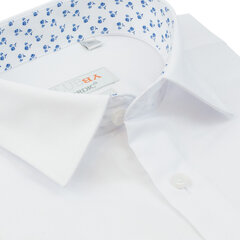 Рубашки мужские NORDIC, приталенный силуэт - с длинным рукавом цена и информация | Мужские рубашки | kaup24.ee