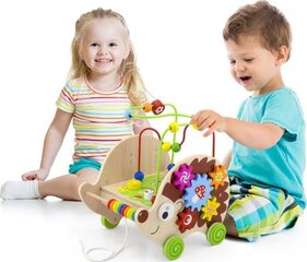 Puidust hariv labürint 4in1 „Siil“ hind ja info | Imikute mänguasjad | kaup24.ee