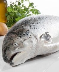 Kuivtoit lõhega Olivers Sensitive Digestion Salmon Grain Free täiskasvanud kassidele, 8 kg hind ja info | Kuivtoit kassidele | kaup24.ee