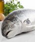 Kuivtoit lõhega Olivers Sensitive Digestion Salmon Grain Free täiskasvanud kassidele, 8 kg hind ja info | Kuivtoit kassidele | kaup24.ee