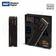 Western Digital WDS500G1X0E                     цена и информация | Внутренние жёсткие диски (HDD, SSD, Hybrid) | kaup24.ee