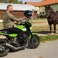 Meeste mototeksad W-TEC Aredator, mustad hind ja info | Mootorratturi püksid | kaup24.ee