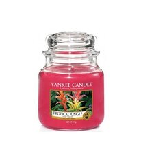 Lõhnaküünal Yankee Candle Tropical Jungle 411 g hind ja info | Küünlad, küünlajalad | kaup24.ee