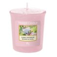 Lõhnaküünal Yankee Candle Sunny Daydream 49 g