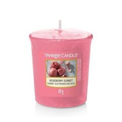 Ароматическая свеча Yankee Candle Roseberry Sorbet 49 г цена и информация | Подсвечники, свечи | kaup24.ee