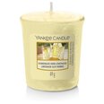 Lõhnaküünal Yankee Candle Homemade Herb Lemonade 49 g
