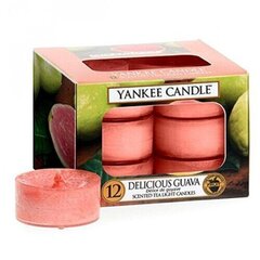 Ароматические чайные свечи Yankee Candle Delicious Guava 9,8 г, 12 шт цена и информация | Подсвечники, свечи | kaup24.ee