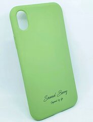 Silikoonist ümbris iPhone 11 Pro Max Green hind ja info | Telefoni kaaned, ümbrised | kaup24.ee