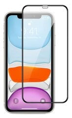 Защитное стекло Smart Glass для iPhone 12 / 12 Pro цена и информация | Ekraani kaitsekiled | kaup24.ee
