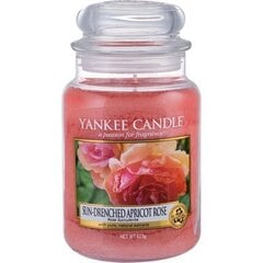 Lõhnaküünal Yankee Candle Sun-Drenched Apricot Rosei 623 g hind ja info | Küünlad, küünlajalad | kaup24.ee