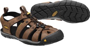 Мужские босоножки Keen Clearwater CNX Leather, коричневые цена и информация | Мужские шлепанцы, босоножки | kaup24.ee