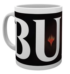 GB eye Magic the Gathering Burn цена и информация | Атрибутика для игроков | kaup24.ee